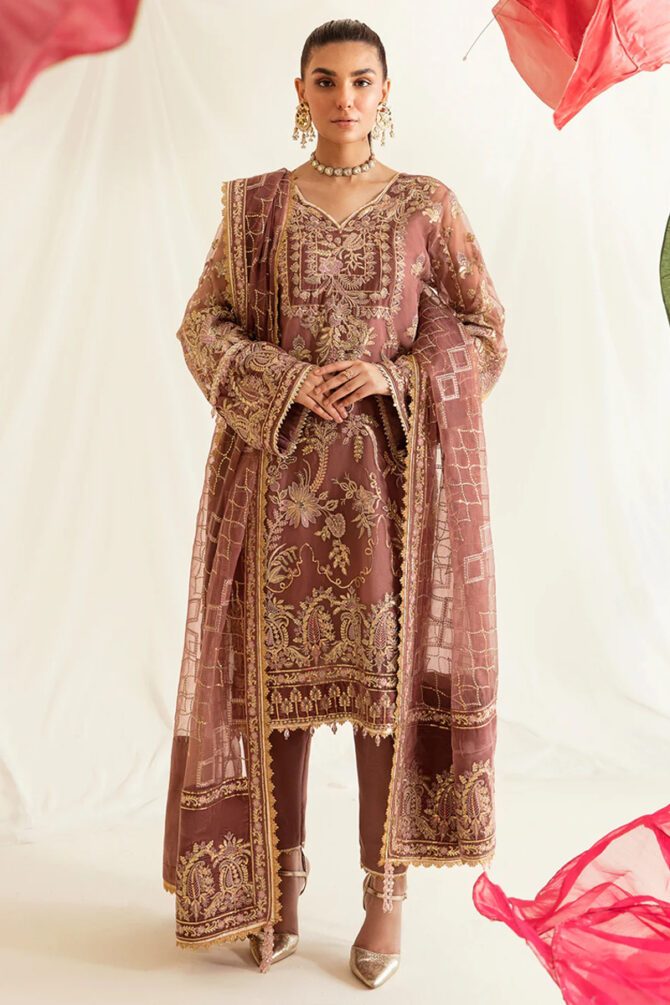 Ayzel Salwar Suit