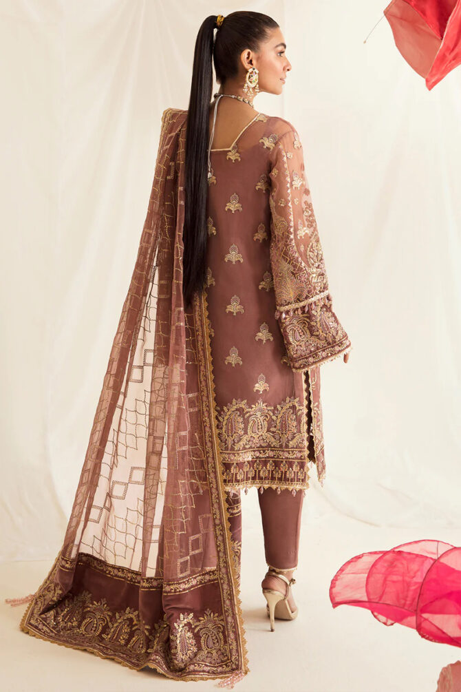 Ayzel Salwar Suit