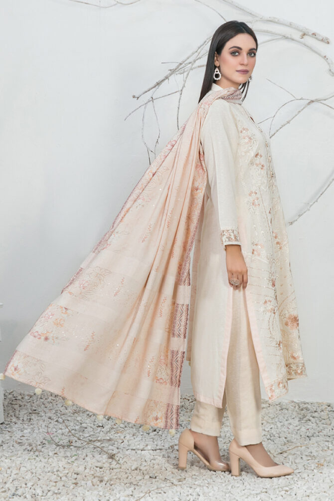 Chawal Karandi Salwar Suit