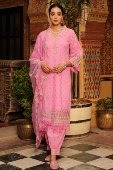 Afgani Cotton Salwar Suit