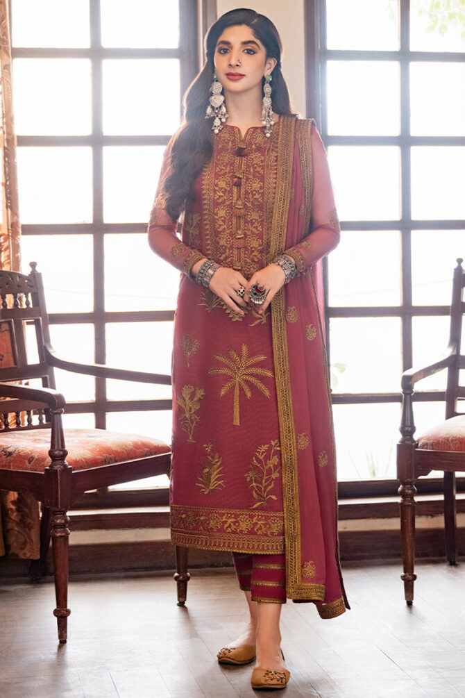 Festive Salwar Suit