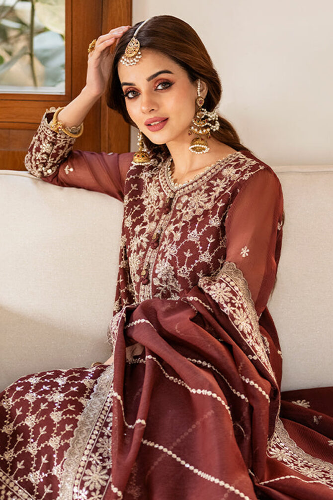 Festive Salwar Suit