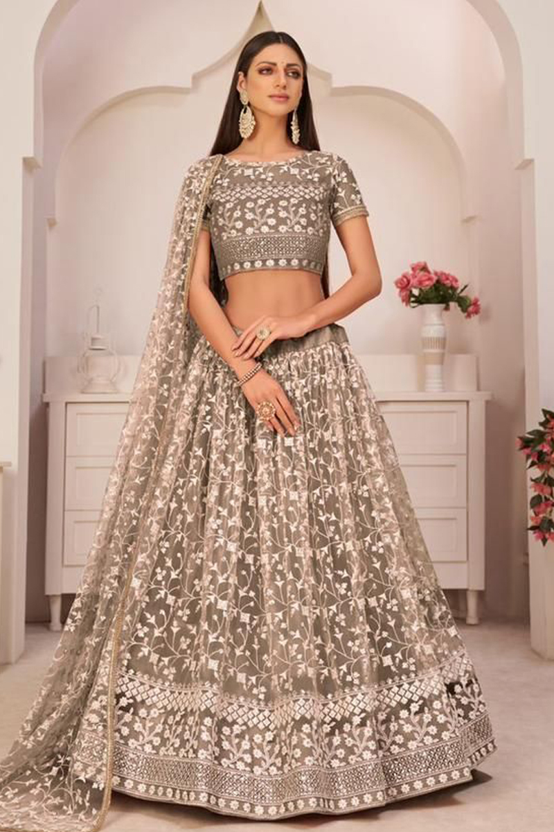 Embroidered Net Lehenga Choli in Brown