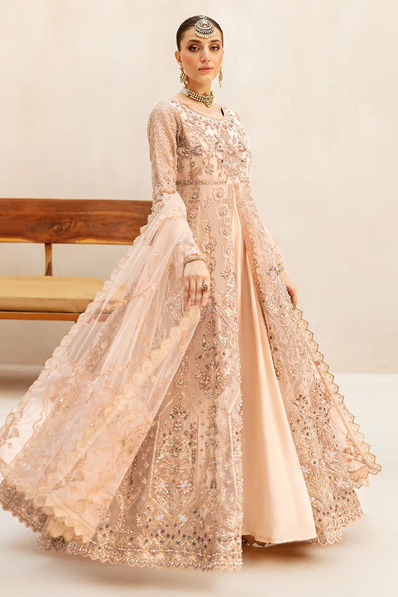 Ramsha Organza Gown in Beige