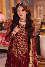 Asim Jofa Net Salwar Suit in Maroon 201883 02