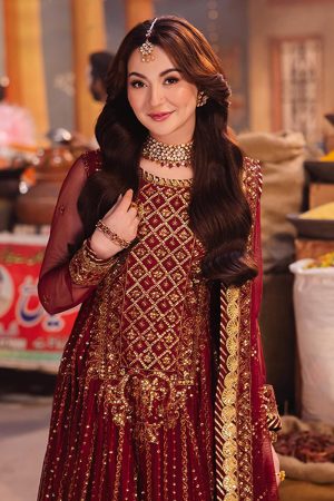 Asim Jofa Net Salwar Suit in Maroon 201883 02