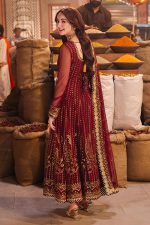 Asim Jofa Net Salwar Suit in Maroon 201883 03