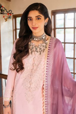 Festive Salwar Suit 200964 02