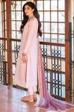 Festive Salwar Suit 200964 03