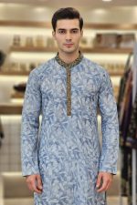 Punjabi In Blue 550143 02