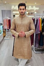 Punjabi In Golden 5500551 01