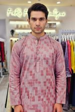 Punjabi In Pink 5500961 02